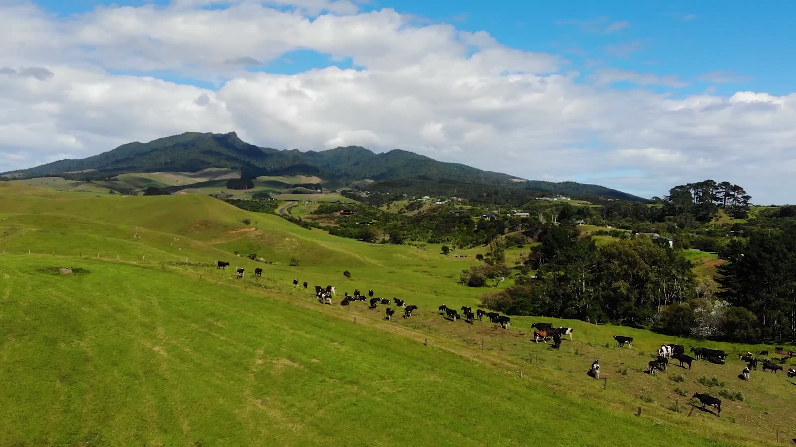 Aerial view of green grazing country with stock on pasture
